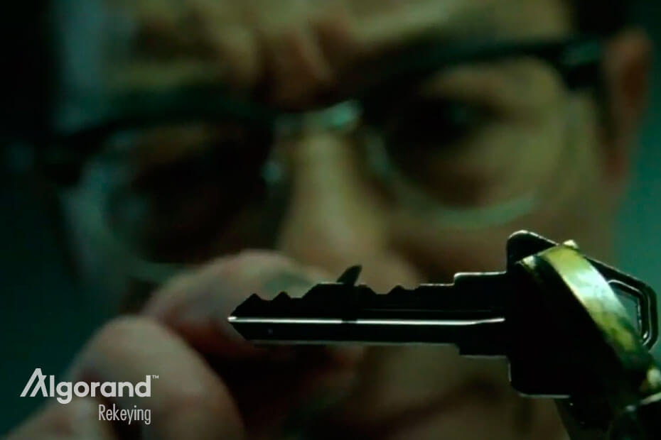 algorand rekeying features