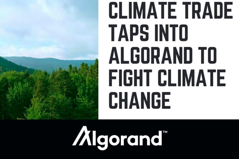 climatetrade algorand